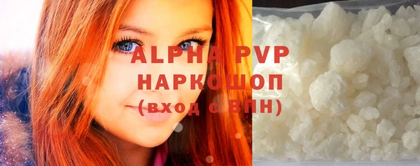 apvp Гусев