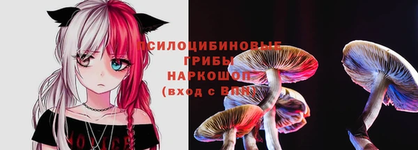 прущая мука Гусиноозёрск