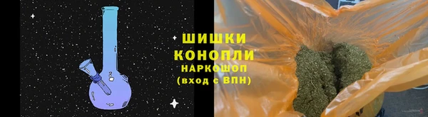 мдпв Гусь-Хрустальный