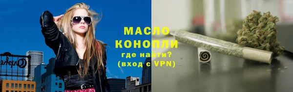apvp Гусев