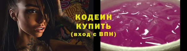 мдпв Гусь-Хрустальный