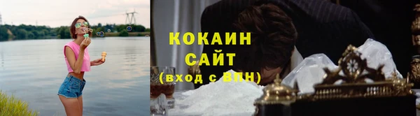 apvp Гусев