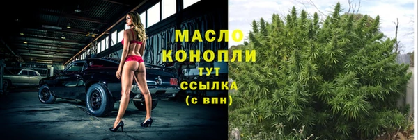 apvp Гусев