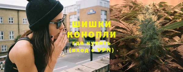 apvp Гусев