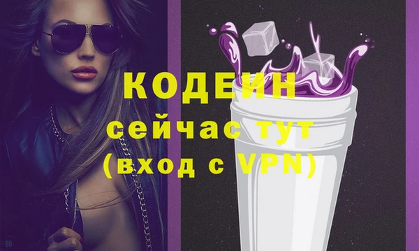 apvp Гусев