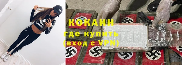 apvp Гусев