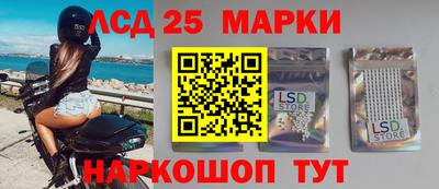спиды Волгодонск