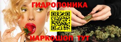 спиды Волгодонск
