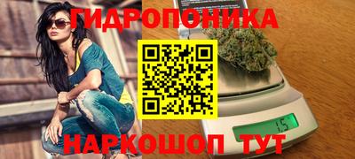 шишки Волжский
