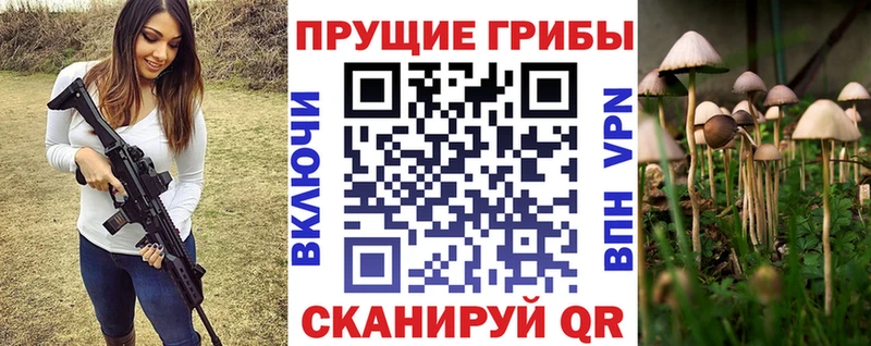 кракен как зайти  Новотроицк  Псилоцибиновые грибы мицелий  где можно купить наркотик 