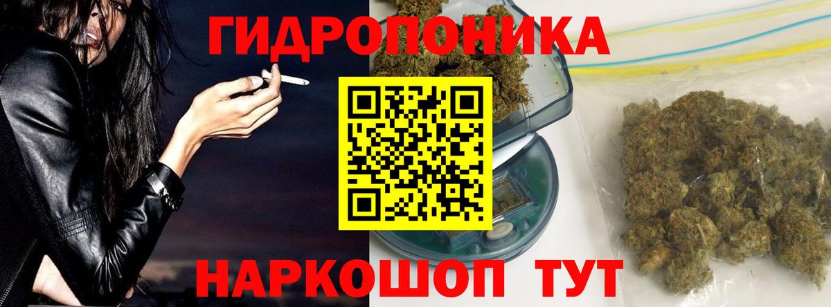 Шишки марихуана марихуана Новотроицк